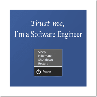 trust me i am a software computer engineer Posters and Art